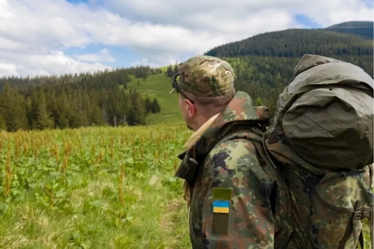 «Больше нет войск». Запад в панике из-за истощения ресурсов ВСУ