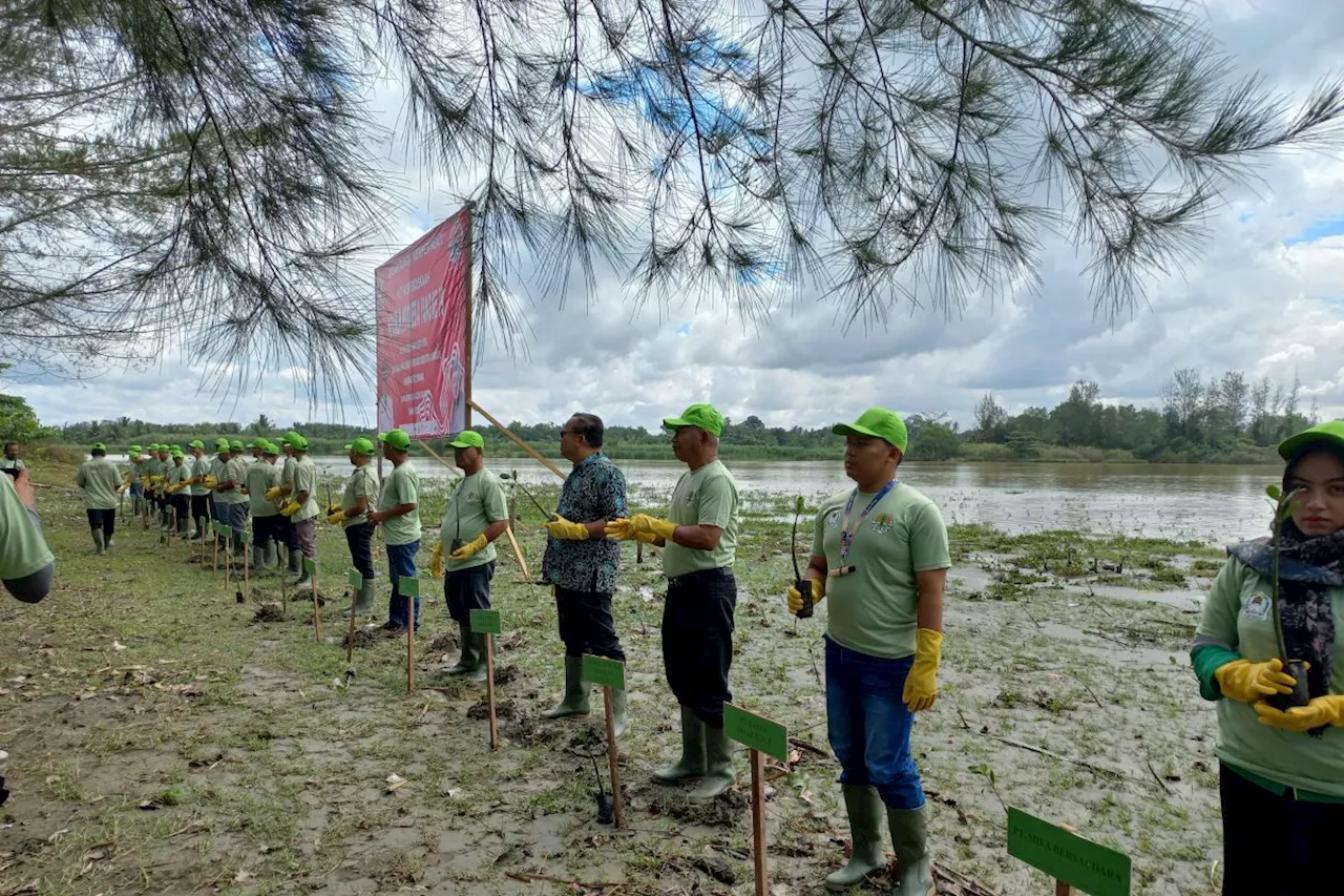 Rehabilitasi mangrove, andalan program konservasiAstraAgro di Aceh