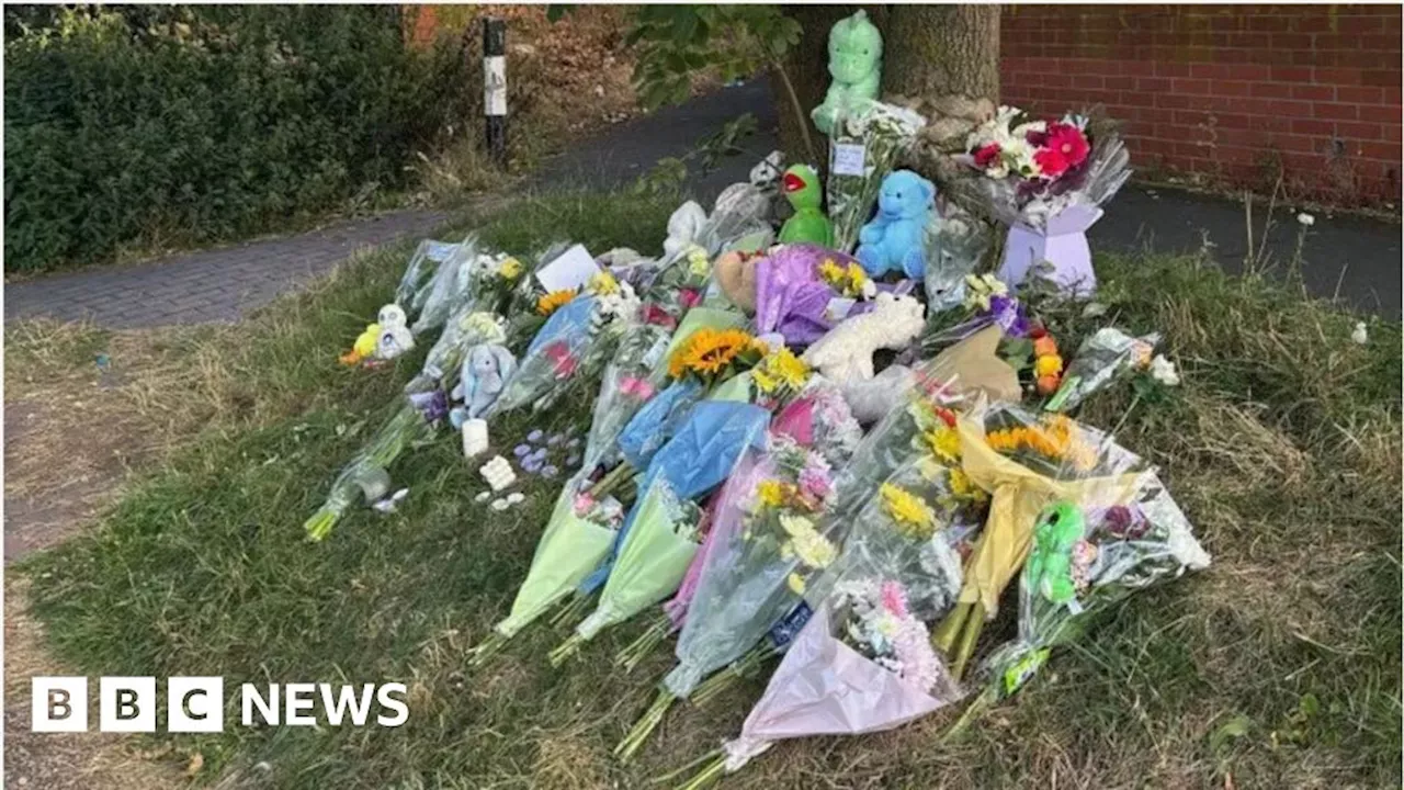 Family's search for boy, 2, found dead in Wolverhampton canal