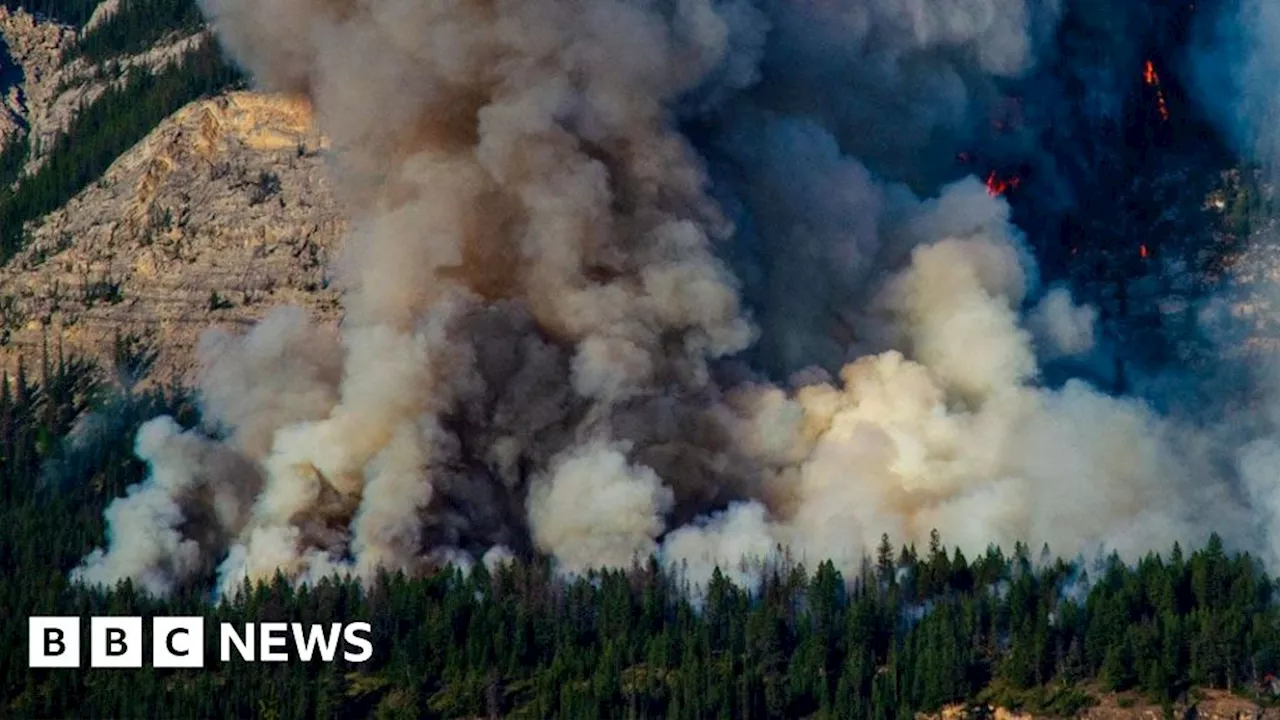 Wildfires: Researchers hope drone swarms will prevent infernos