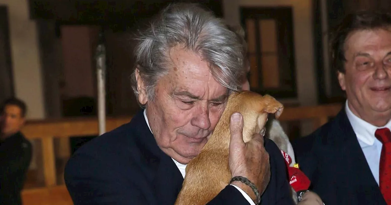 Alain Delon wird neben seinen Hunden beigesetzt