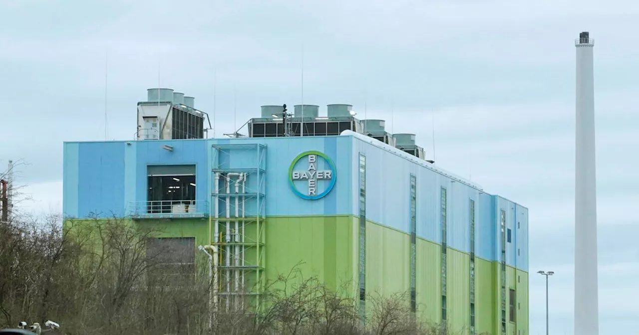 Bayer streicht in Basel 150 Vollzeitstellen