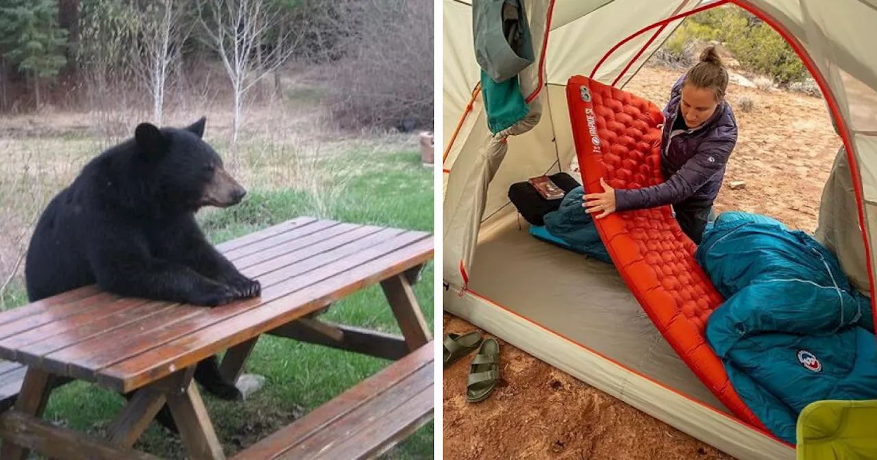 These 20 Items Will Convince You That You Need To Go On More Camping Weekends