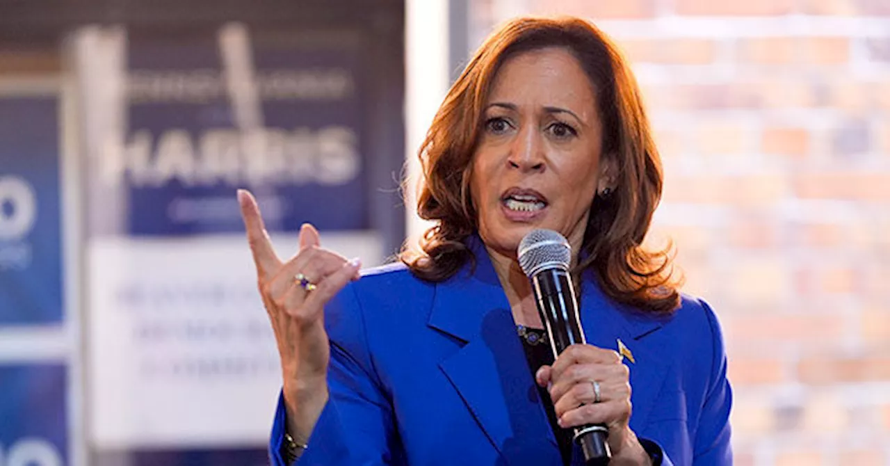 Dem Rep. Phillips: Harris Needs to Answer Tough Questions, Most ‘Do Not Know What She Stands For’