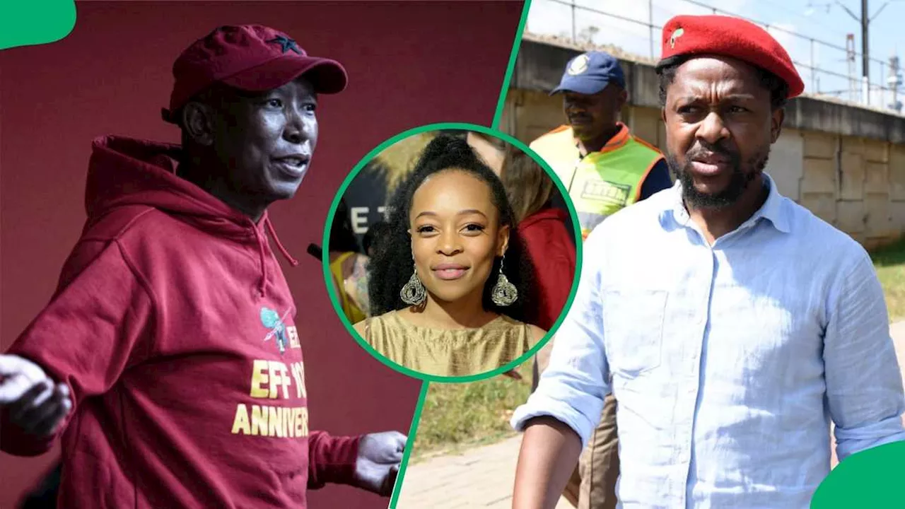 Mmabatho Montsho Causes Drama for Mbuyiseni Ndlozi as EFF Leader Julius Malema Takes Digs at Him