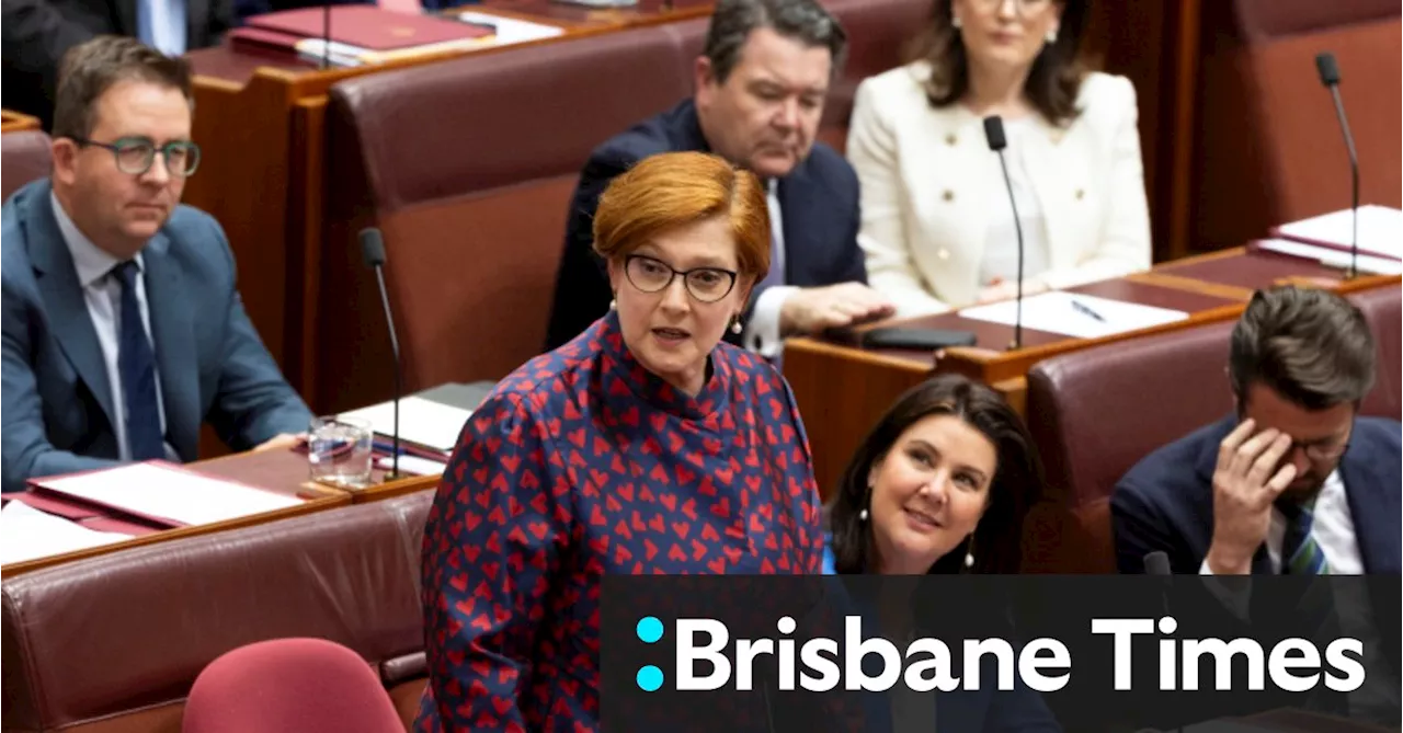 ‘Shaking, gripping the desk’: Marise Payne recalls Reynolds’ breakdown amid political furore