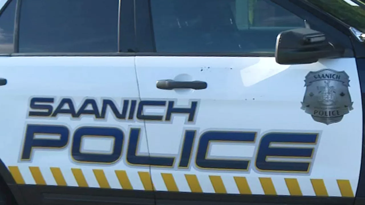 Man in ‘agitated state’ shot by Saanich Police with beanbag gun