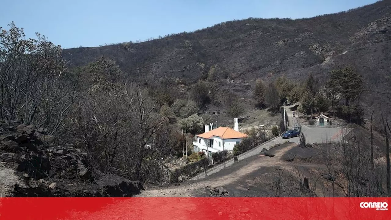 Polícia Judiciária investiga foguete ou fogo posto na Madeira