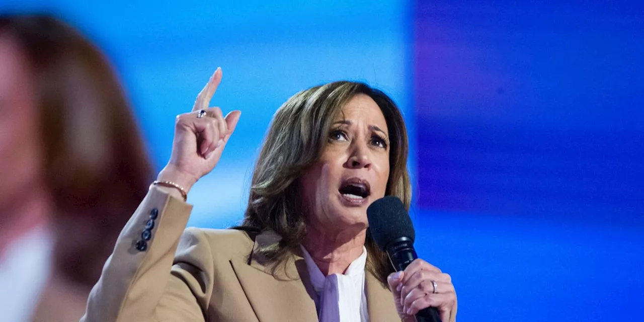 'Let's Go!' Top Economist Applauds as Harris Signals Support for Billionaires Tax