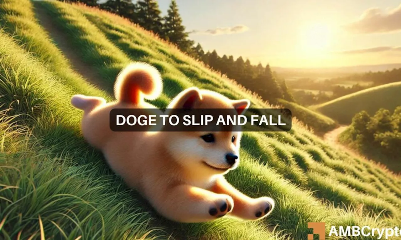 Dogecoin can rally to $6.9 but only after THIS fall