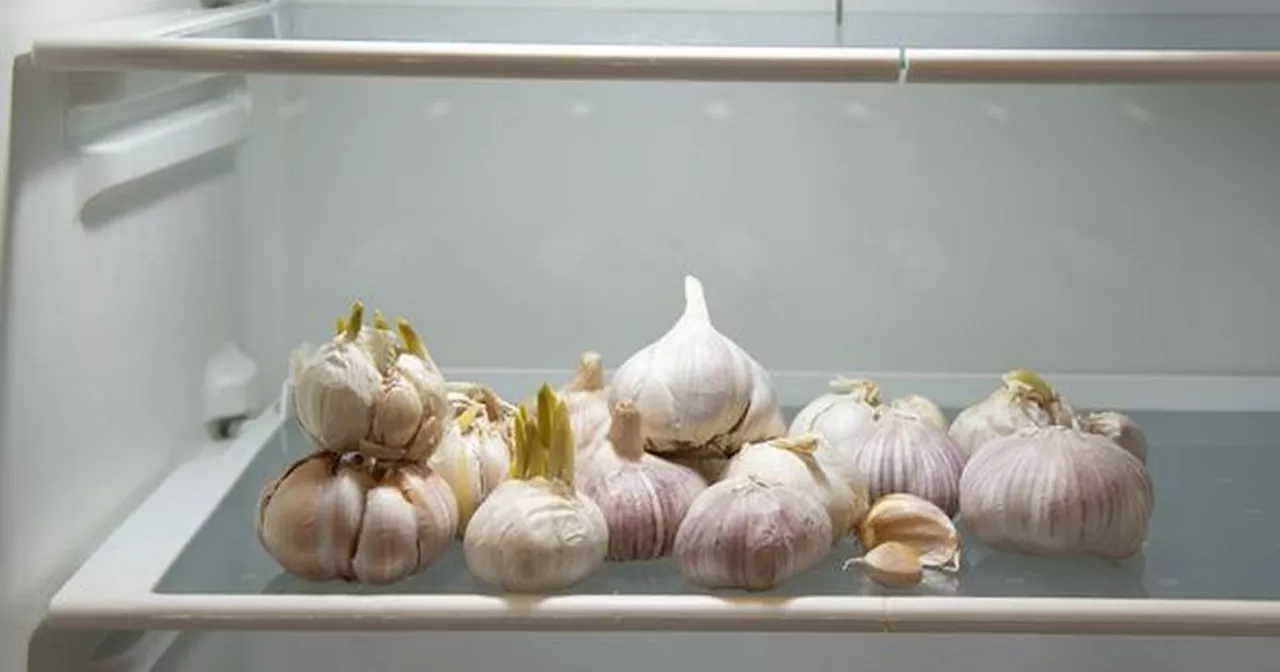 Never store whole garlic bulbs in the fridge - expert shares top tips