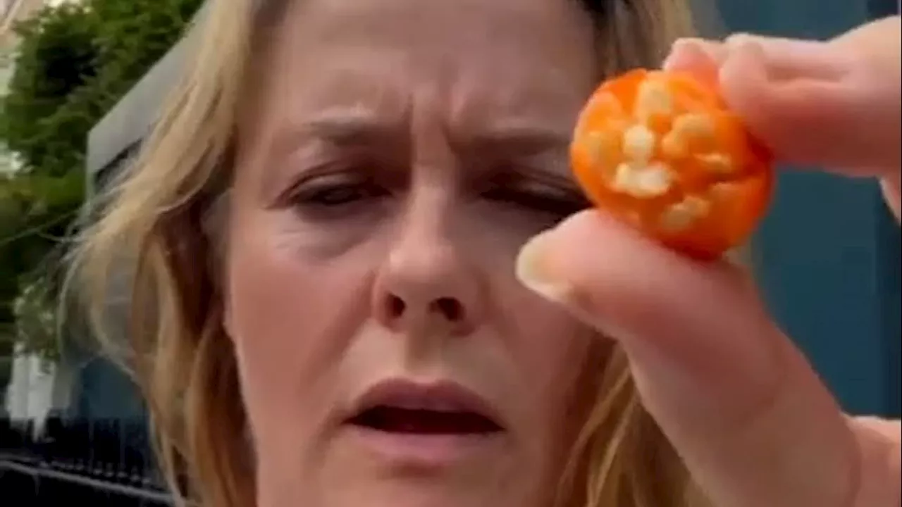 Hollywood star shocks fans by eating ultra-poisonous berry from London garden while asking fans...