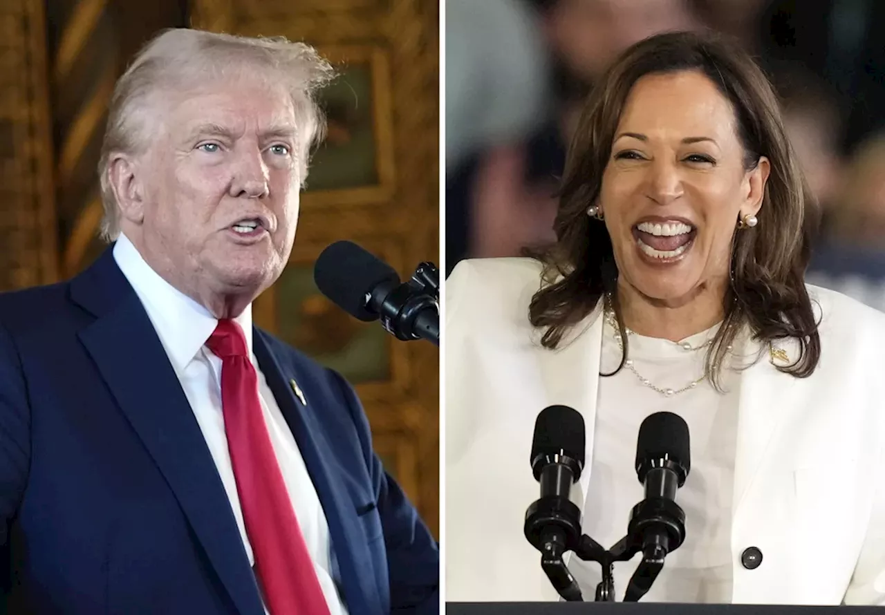 Kamala Harris is afraid of Donald Trump and Fox News