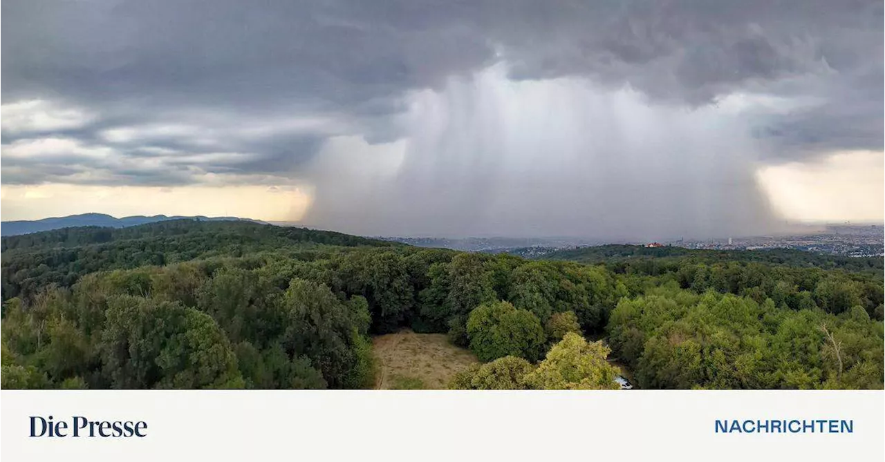 Starkregen an einem Ort: Wenn sich Wolken nicht bewegen