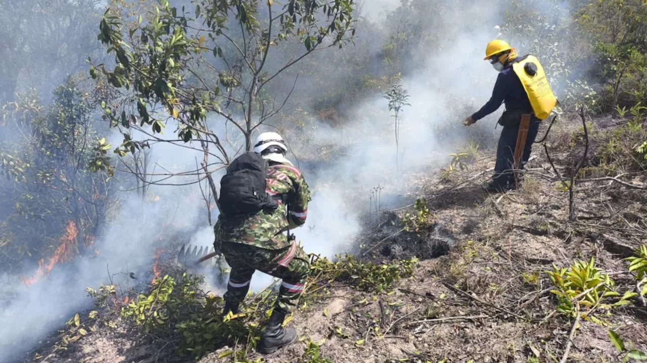 Incendio consume más de 250 hectáreas de bosques en Alpujarra, Tolima