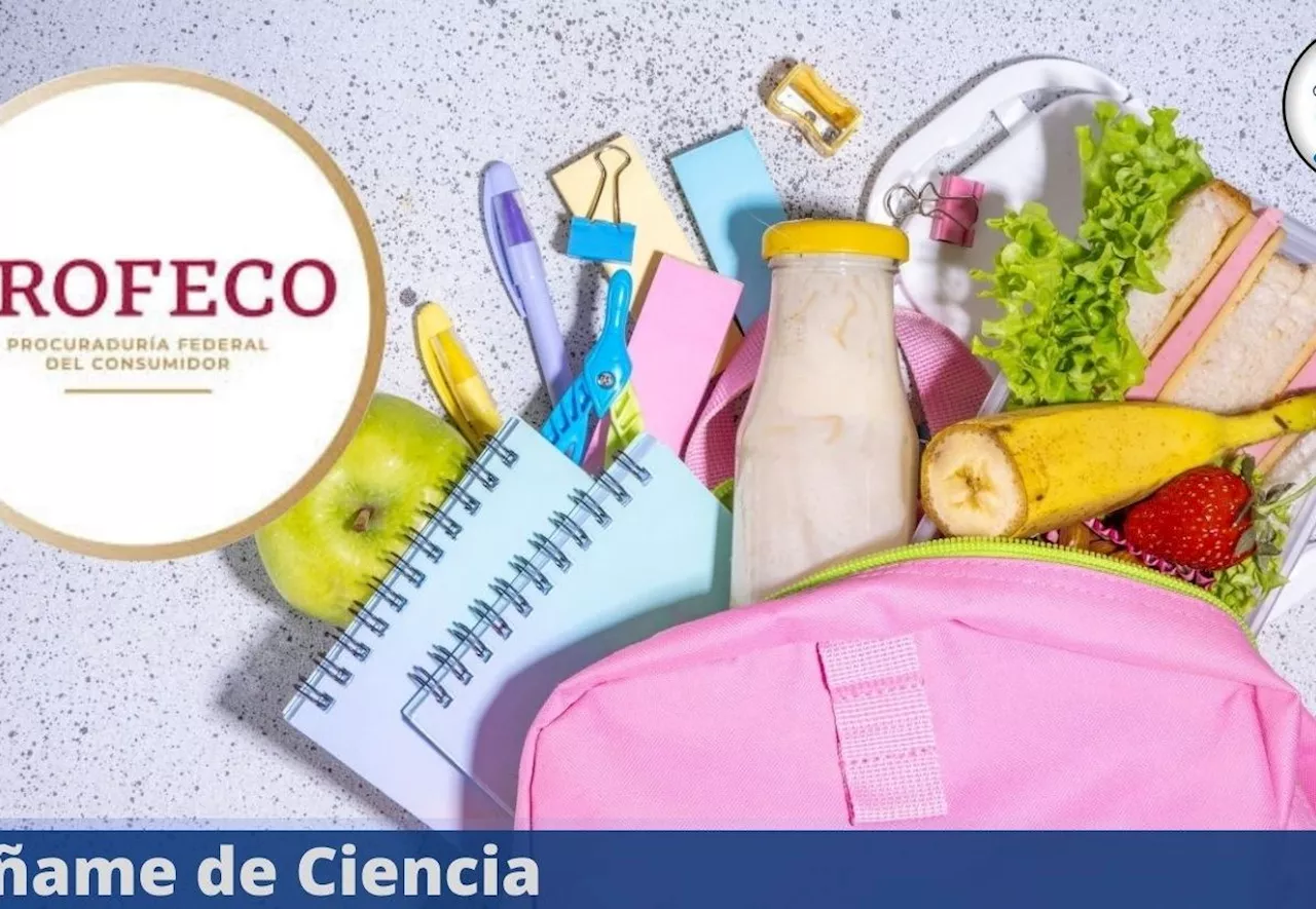 Estos son los peores alimentos para darle de lunch a tus hijos, según PROFECO