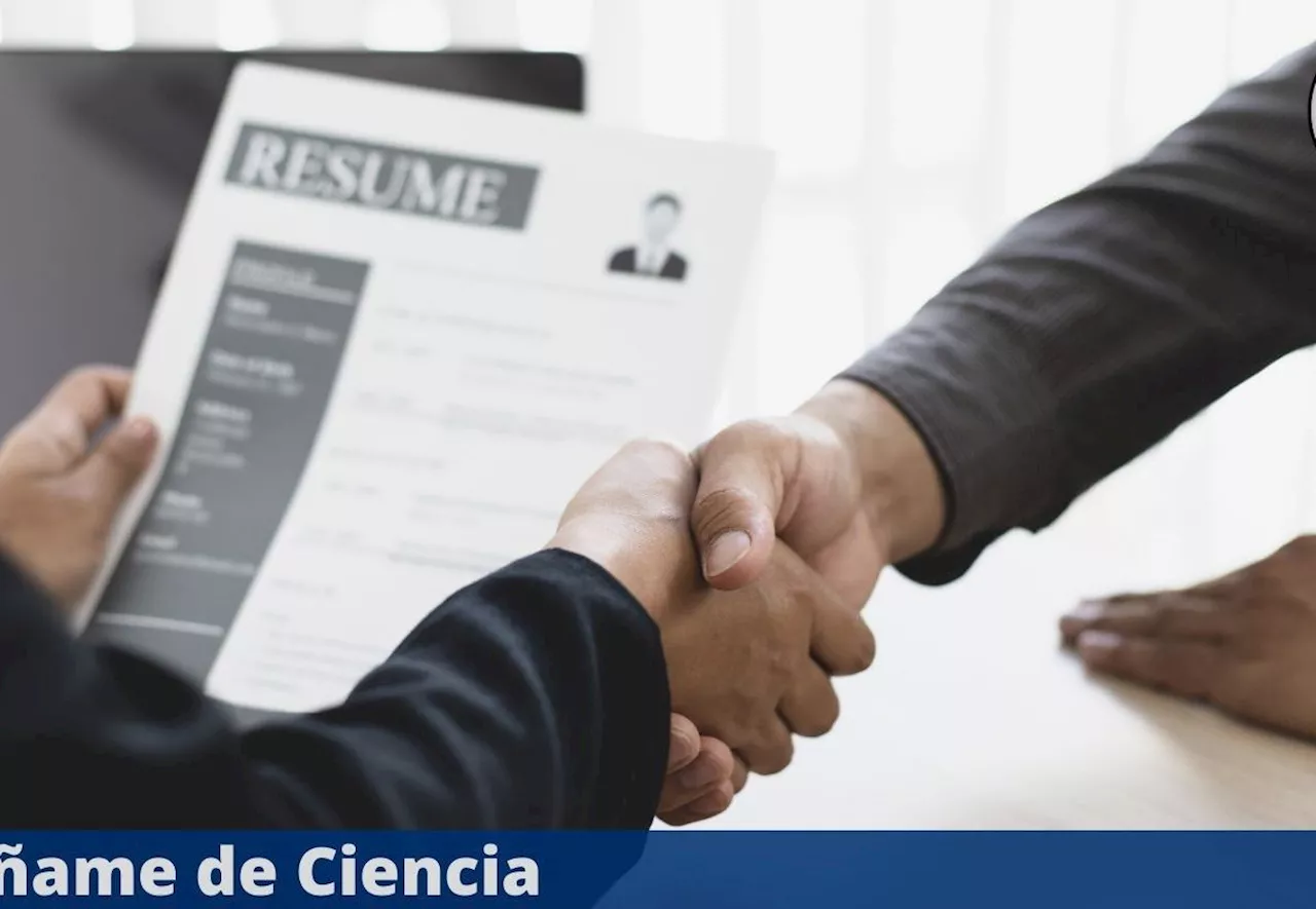 Gobierno lanza vacantes con sueldos de hasta $45,000 con escolaridad desde primaria y hasta licenciatura