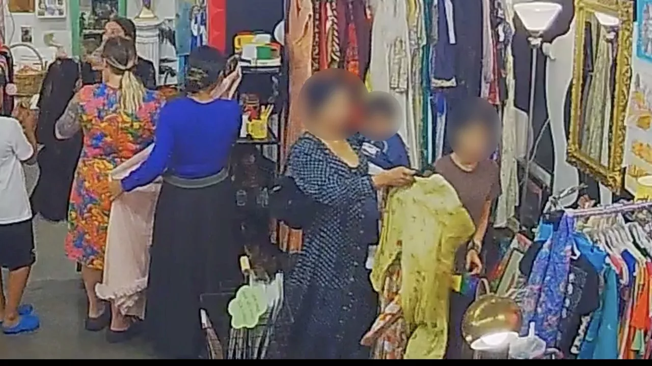 Small businesses in West Seattle targeted by shoplifting scheme using children