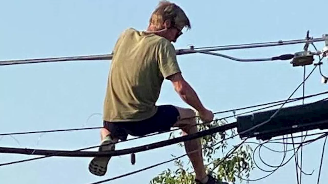 Brazen copper thieves target Garland power lines