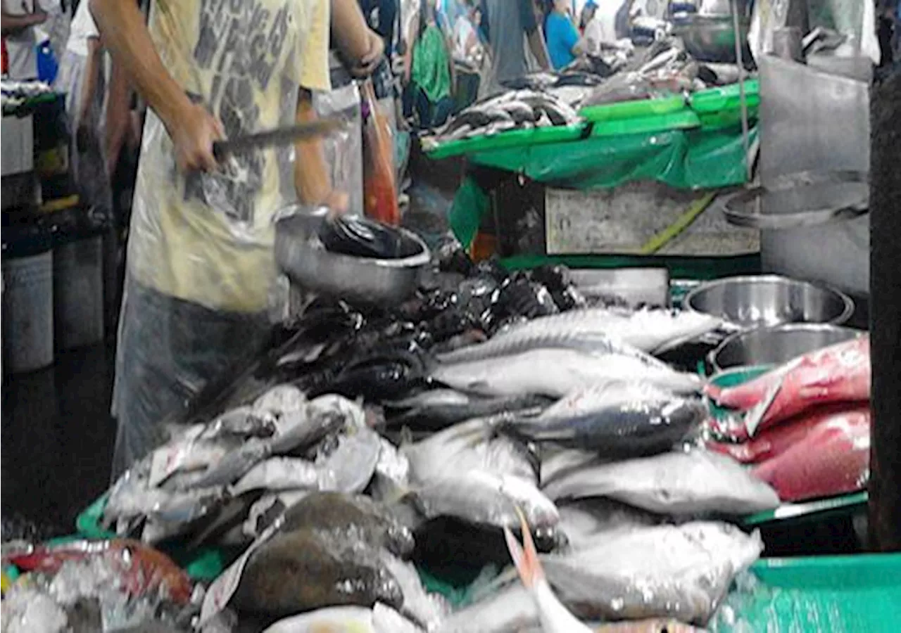 Fish, shellfish from Cavite now safe to eat after Bataan oil spill