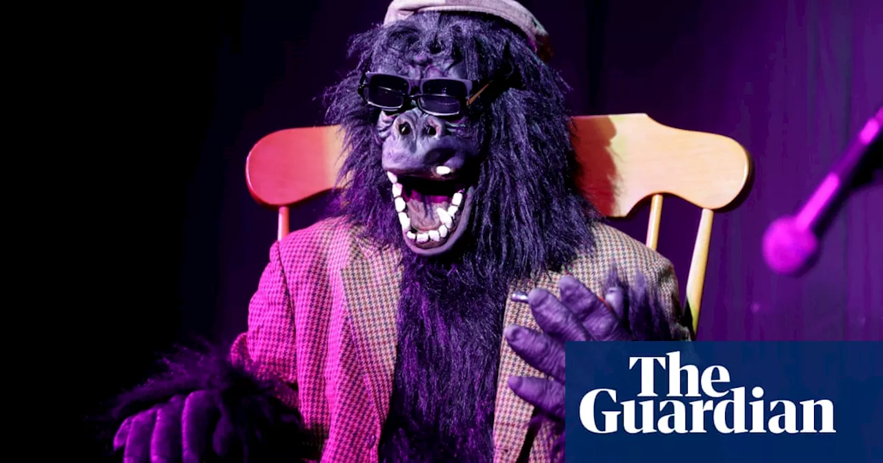 Edinburgh goes bananas for cult show with a gorilla costume, a rocking chair and little else