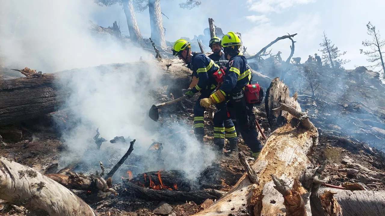 Einsatz in Frankreich - NÖ-Florianis löschten Waldbrand auf Korsika