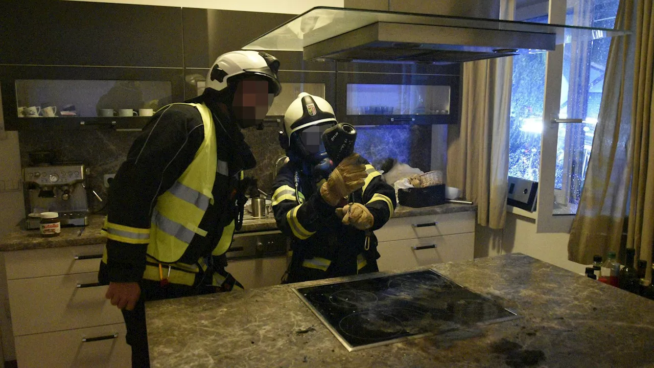 Samtpfotener Brandstifter - Katze steigt auf Ceranfeld, löst Küchenbrand aus