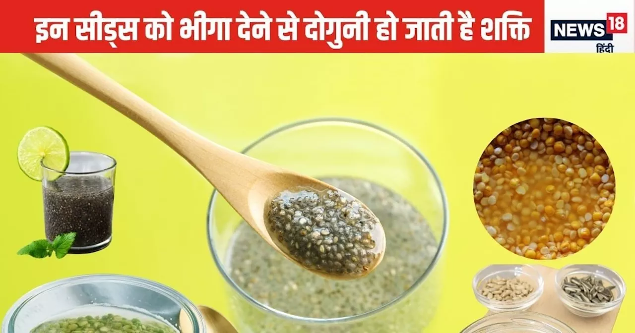 7 सीड्स को पानी में भिगा दीजिए, कई गुना बढ़ जाएगा पावर, सेवन करने से घंटों में दिखेगा असर