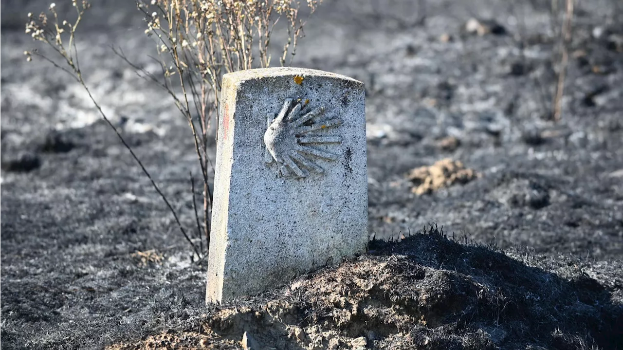 Detenido un peregrino en el Camino de Santiago acusado del incendio de Astorga