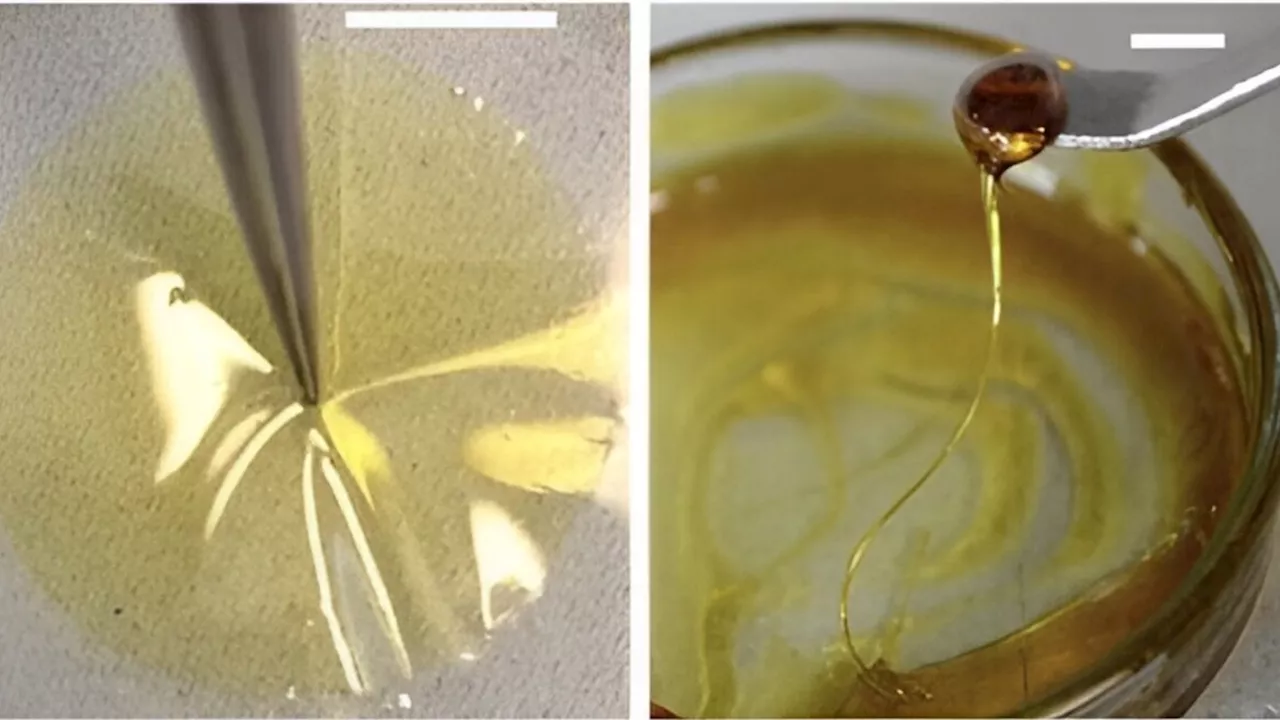 Plastic pollution solution: Scientists develop green plastic alternative
