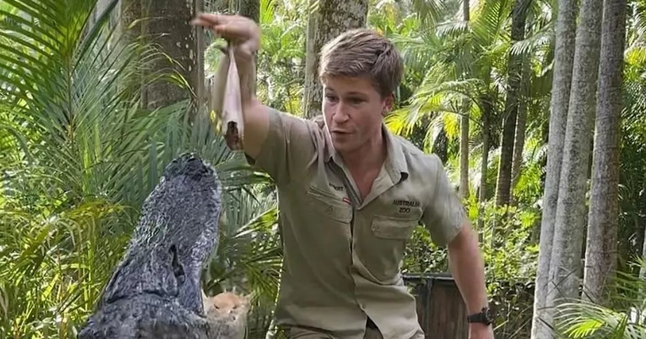 Robert Irwin 'smacks head into tree' while catching crocodiles in scary accident