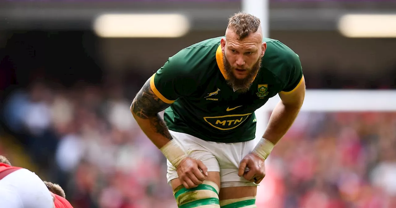 Springboks welcome back experienced cohort ahead of home Tests against New Zealand