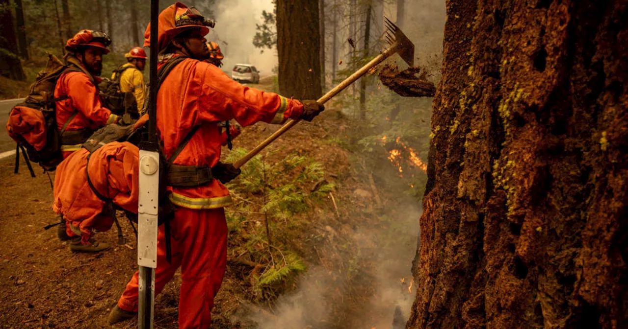 Park Fire's last remaining evacuation orders and warnings lifted, Cal Fire says