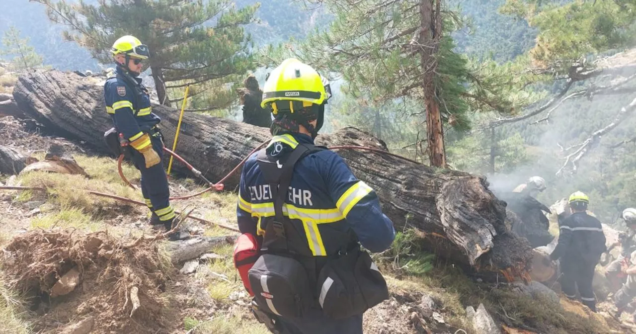 Alarm auf Korsika: Feuerwehrleute aus NÖ bekämpfen Waldbrände