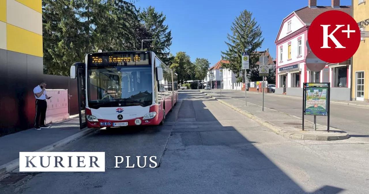 Endstation Groß-Enzersdorf: Wo einst der 317er wendete