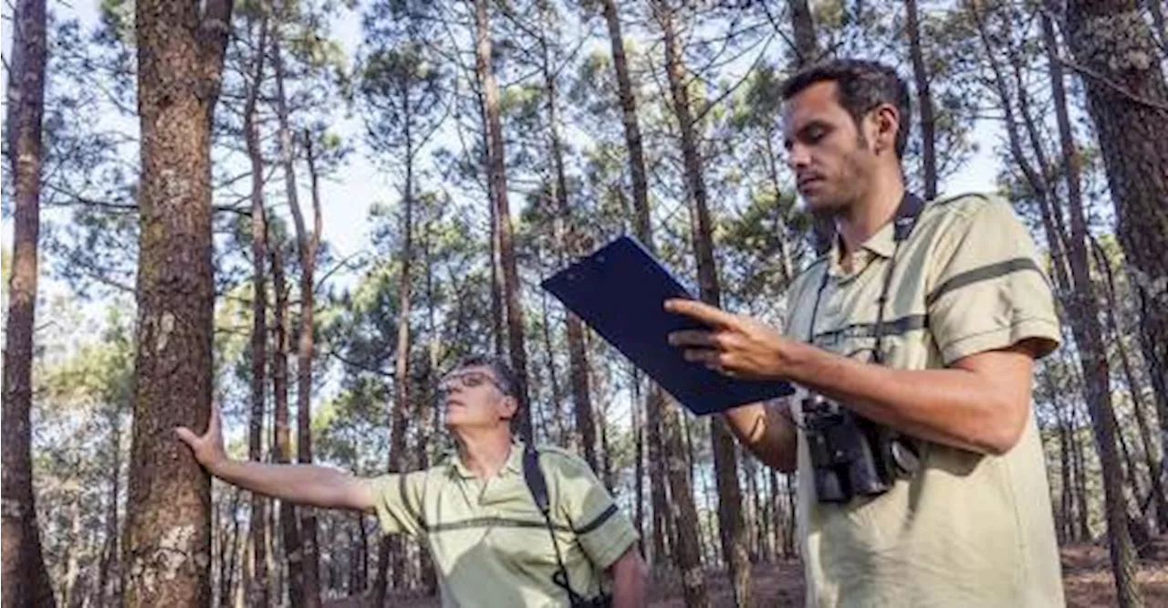 Avant une balade en forêt, une carte à consulter