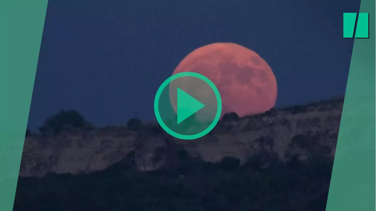 Lune La « super Lune bleue » du lundi 19 août a fait des heureux, en