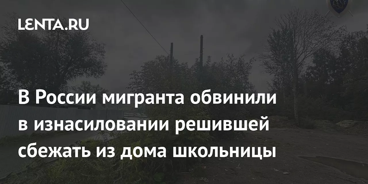 В России мигранта обвинили в изнасиловании решившей сбежать из дома школьницы