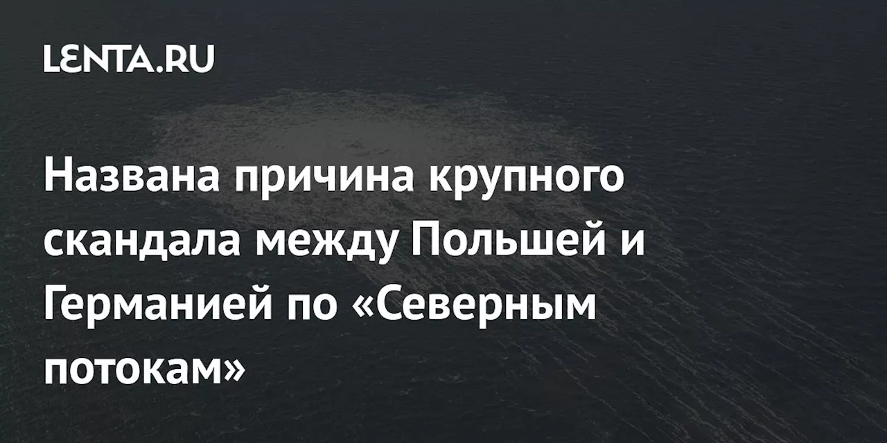 Названа причина крупного скандала между Польшей и Германией по «Северным потокам»