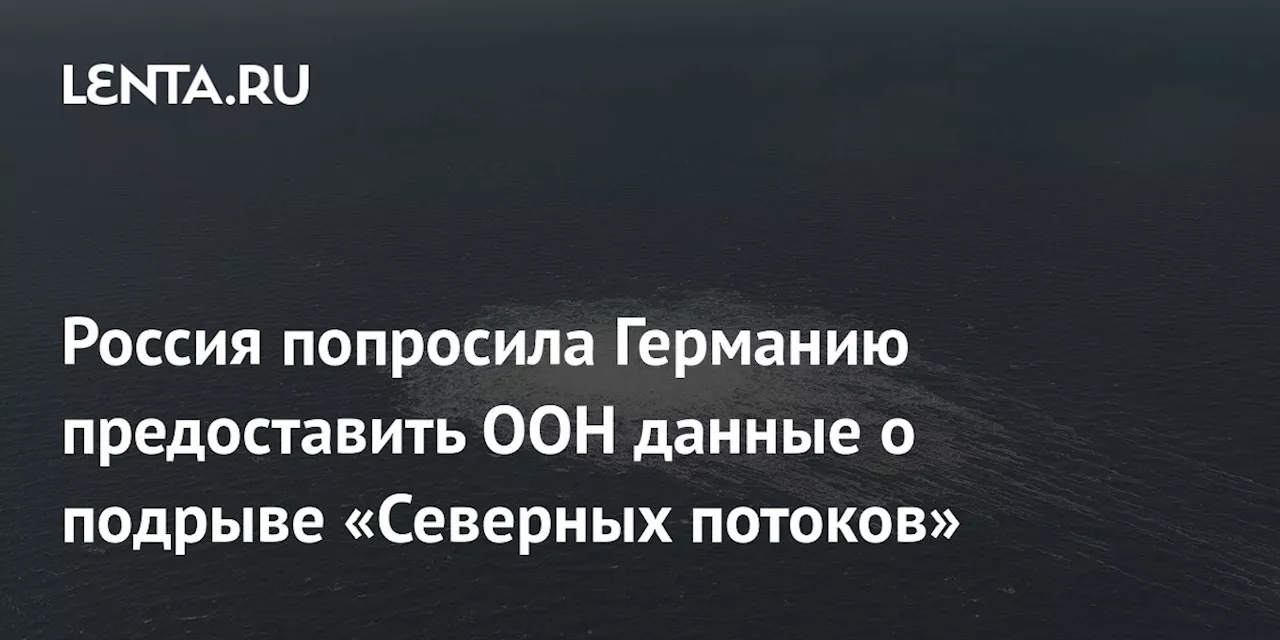 Россия попросила Германию предоставить ООН данные о подрыве «Северных потоков»