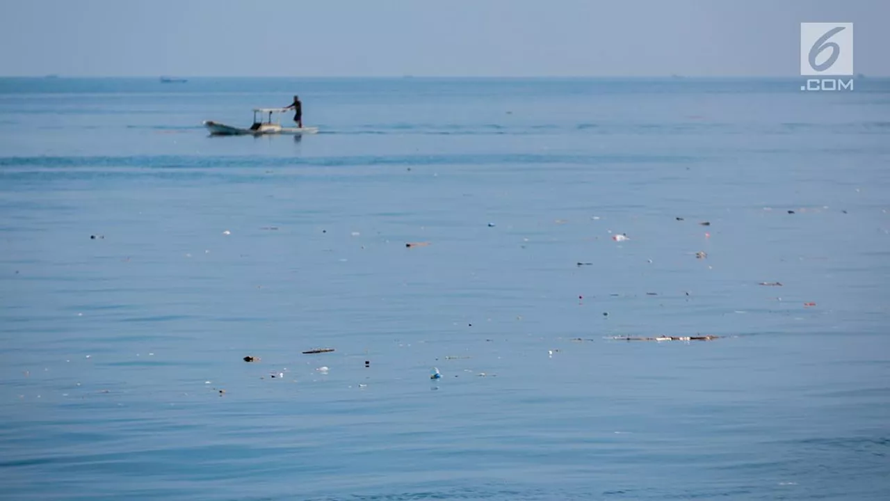 Hasil Visum Jasad Pria Tanpa Identitas di Perairan Pulau Pramuka, Polisi: Ada Luka di Perut