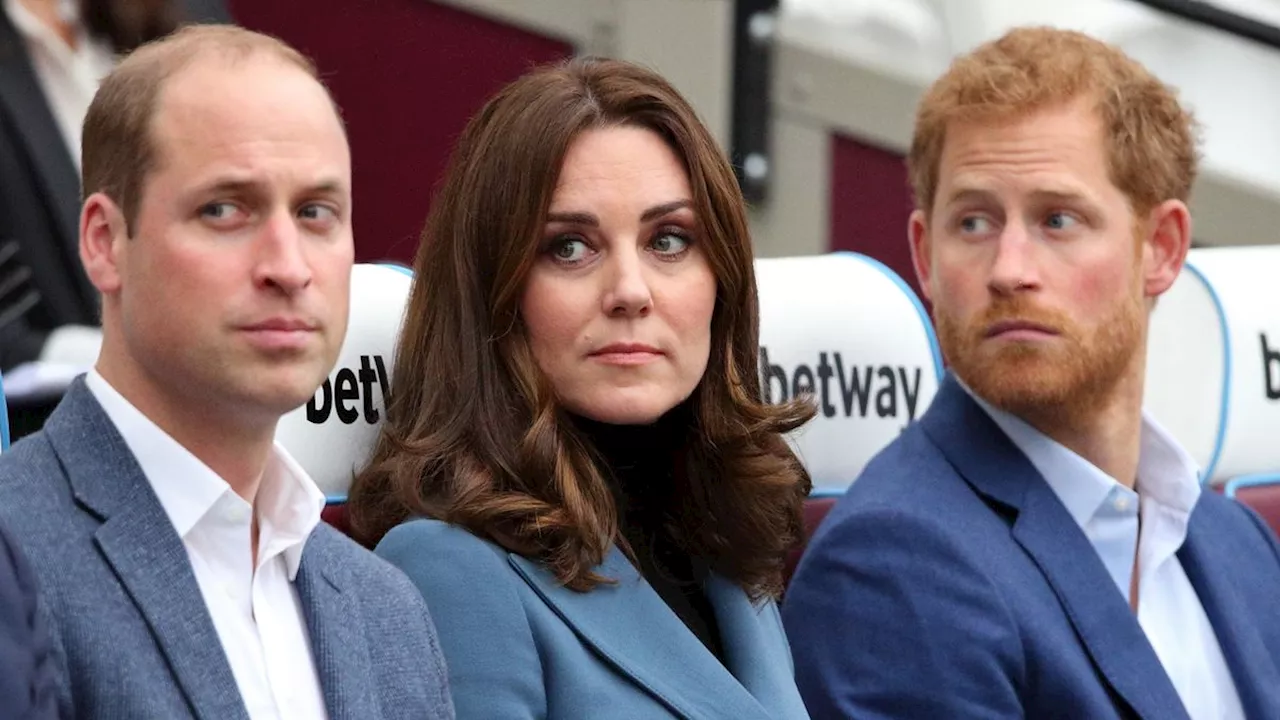 Prince Harry May Never 'Regain the Trust' with Prince William and Princess Kate