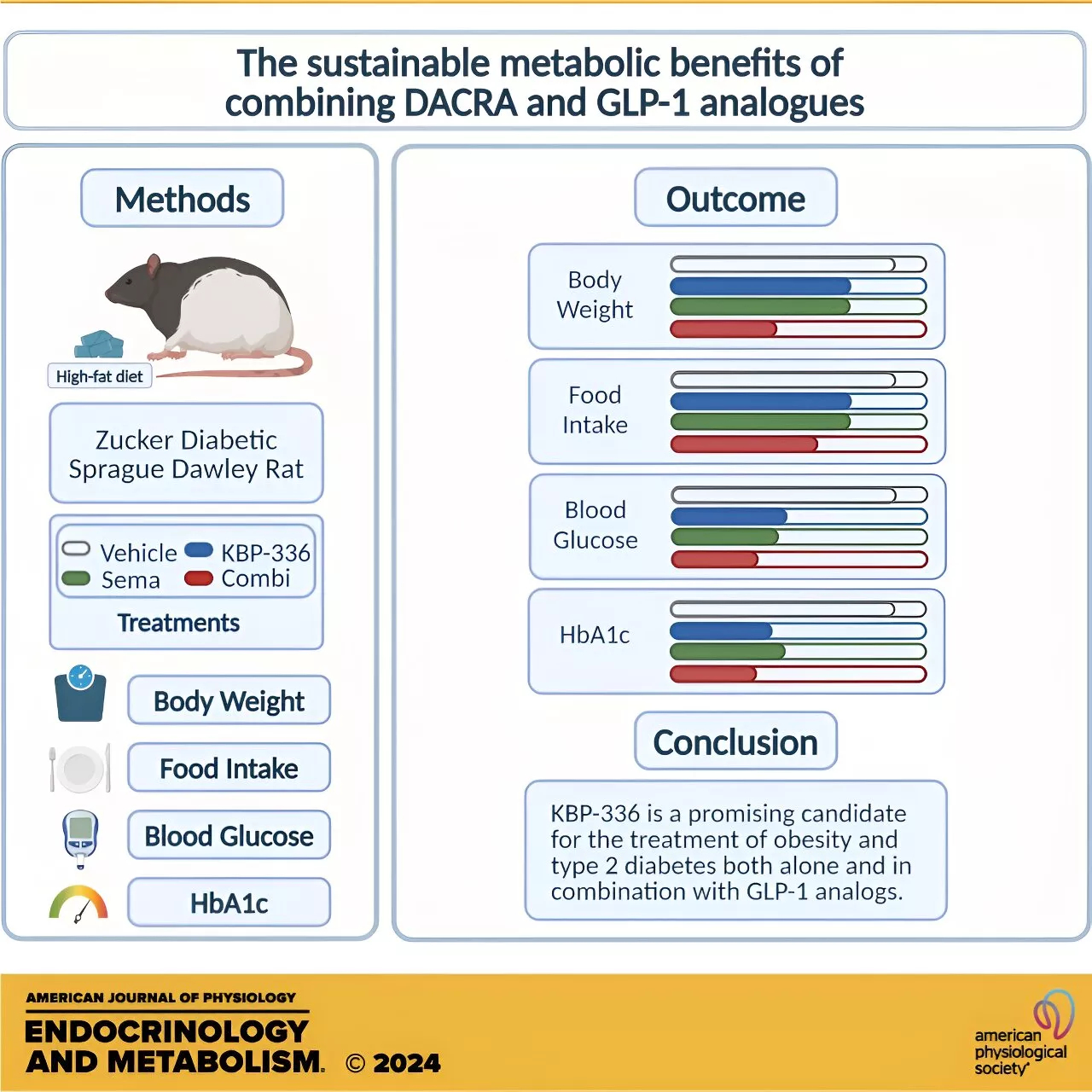 Combining two diabetes drugs helps promote weight loss and blood sugar control, rat study finds