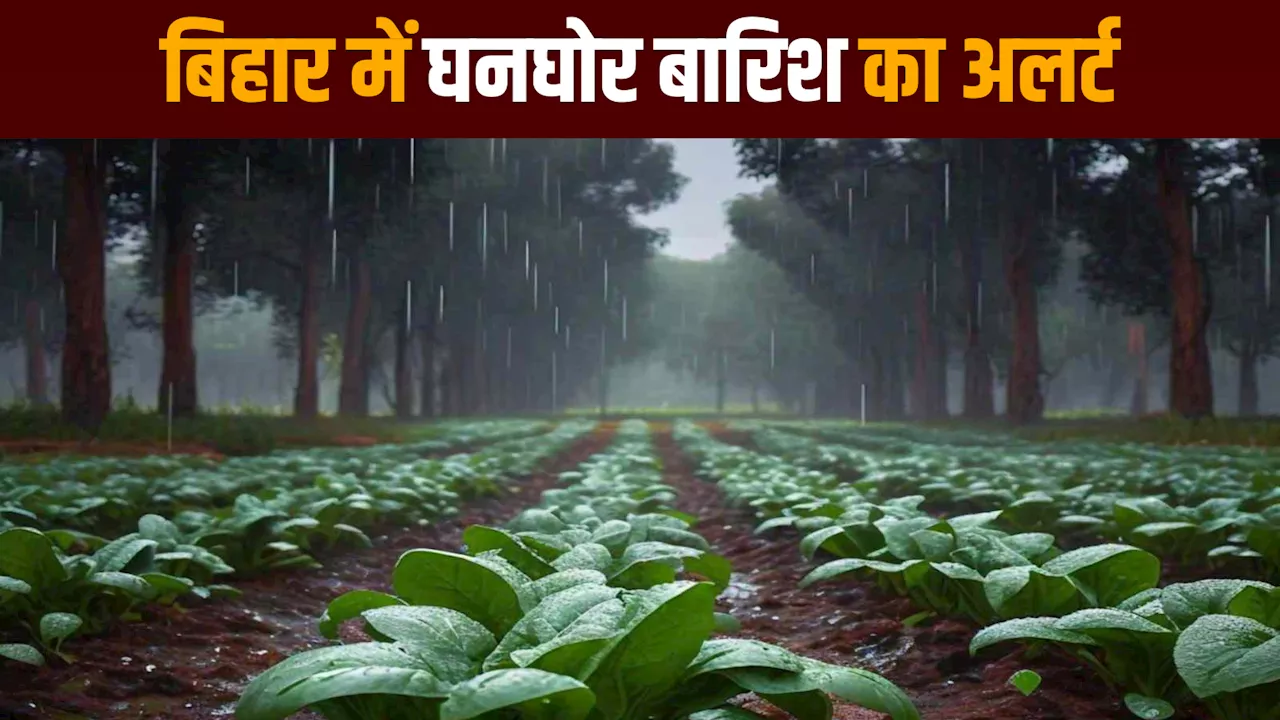 Bihar Weather: रोहतास से बांका तक भारी बारिश, सावधान रहें इन जिलों के लोग; IMD ने किया अलर्ट