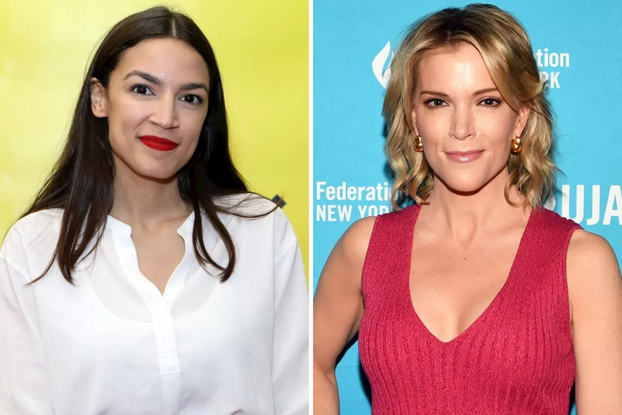 Alexandria Ocasio-Cortez Branded 'Congressional Kardashian' by Megyn Kelly