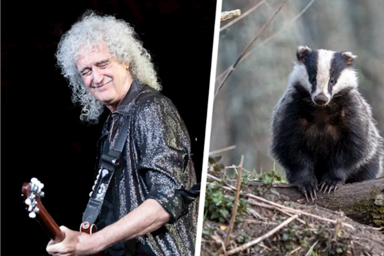 Hoe de gitarist van Queen en dassen de BBC in nauwe schoentjes brengen