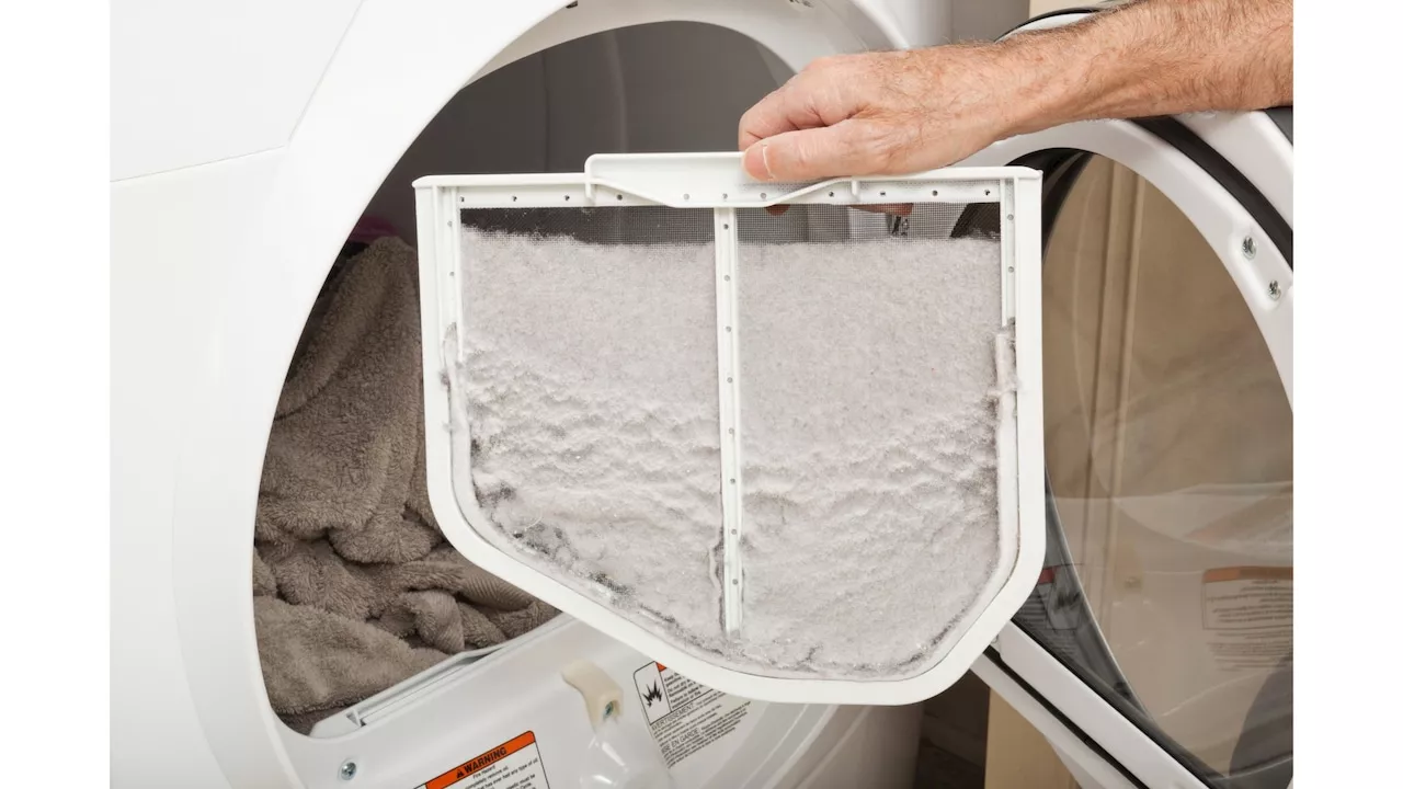 Hints from Heloise: How to deal with dryer lint, spilled wax and house flies