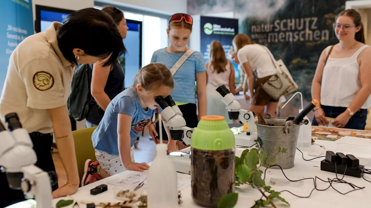 Fest der Wildnis: 500 Besucher erlebten den Urwald in Lunz hautnah