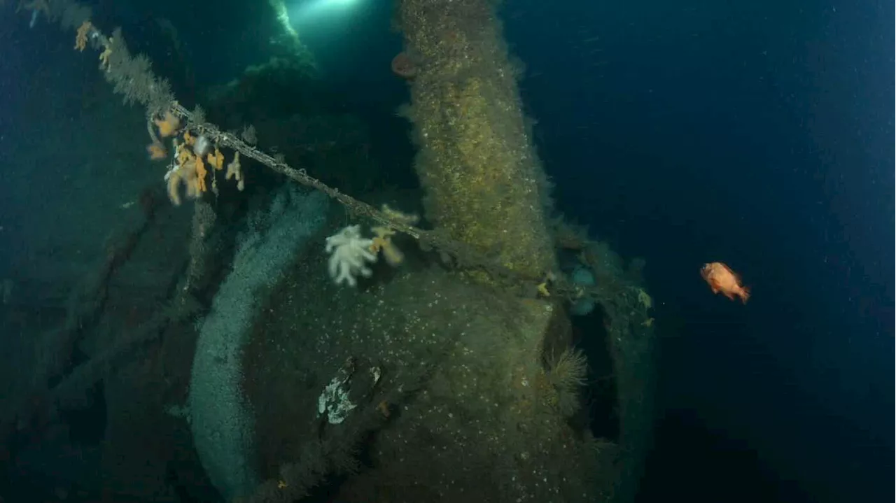 Explorers say they’ve found a British warship sunk by a German U-boat in WWI