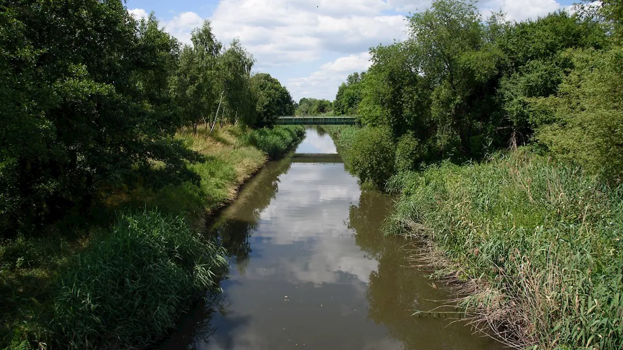 Kampf gegen giftige Goldalge: Polen leitet Wasserstoffperoxid in Oder-Nebenkanal ein